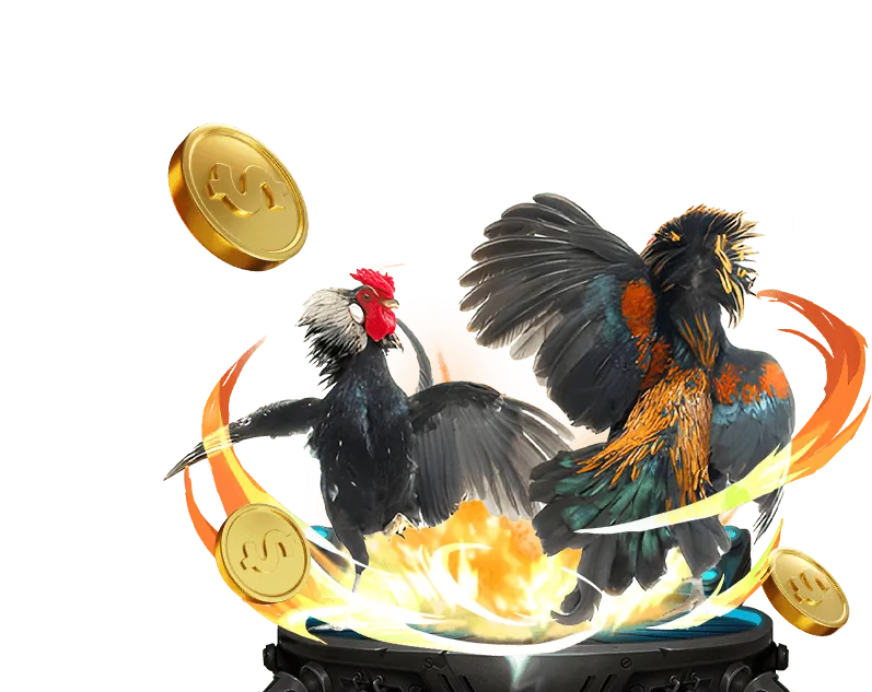 Hình ảnh banner khuyến mãi Kubet77 Ku Casino